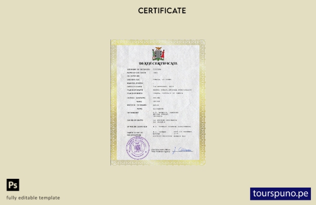 listo para imprimir plantilla de plantilla PSD de certificado de defunción de  7